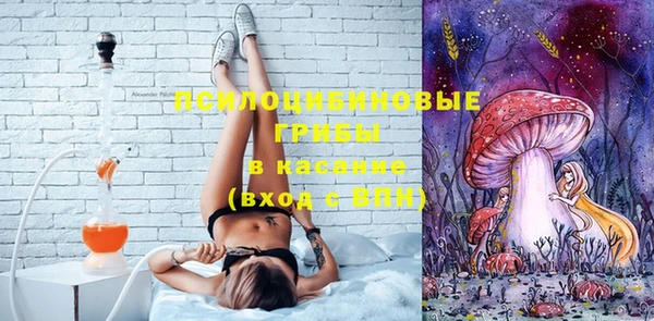 МДПВ Алзамай